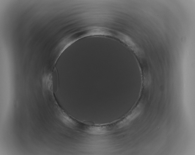 X0000111461369200908101046