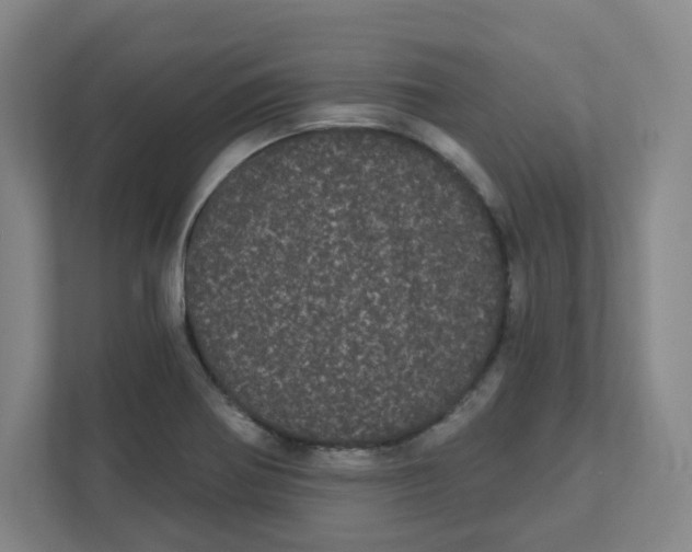 X0000111461370200908101046