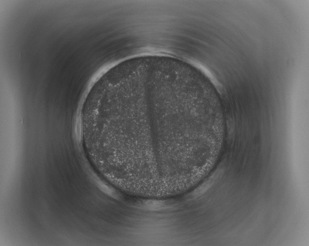 X0000111461371200908101046