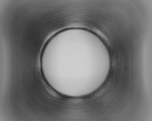 X0000111461372200908101046