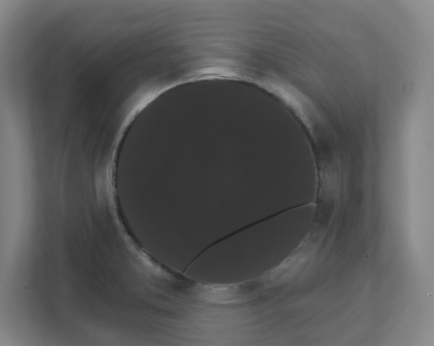 X0000111461373200908101046