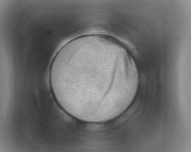 X0000111461374200908101046