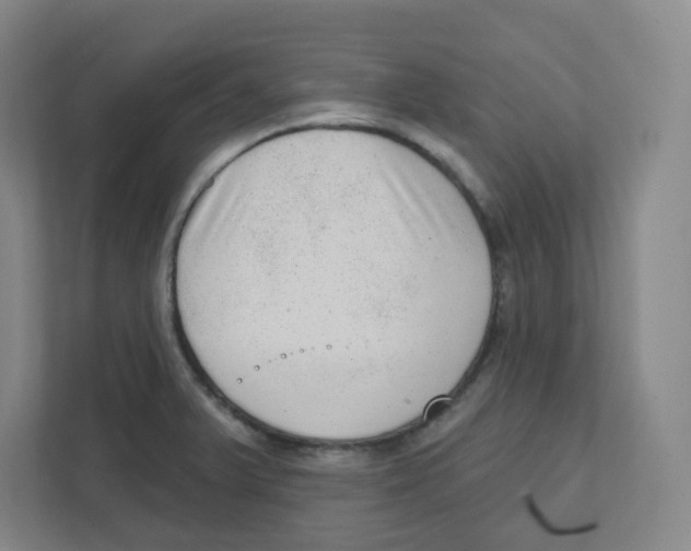 X0000111461375200908101046