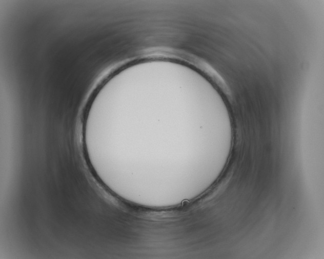 X0000111461376200908101046