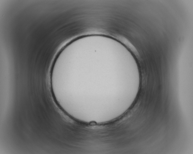 X0000111461380200908101046