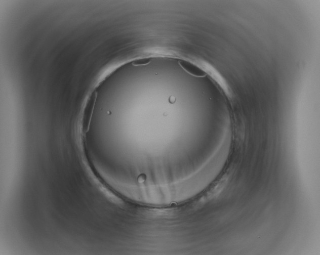X0000111461381200908101046