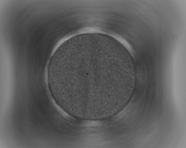 X0000111461382200908101046