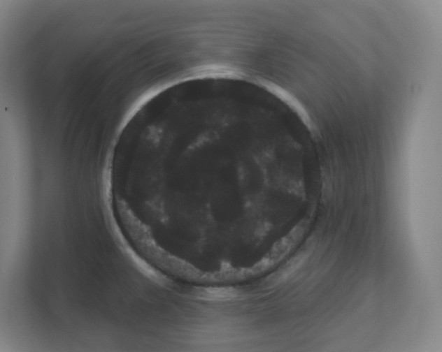 X0000111461383200908101046