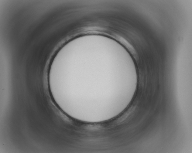 X0000111461384200908101046
