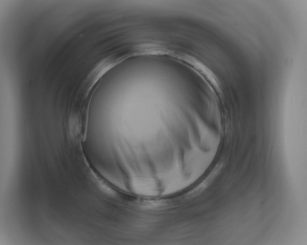 X0000111461385200908101046