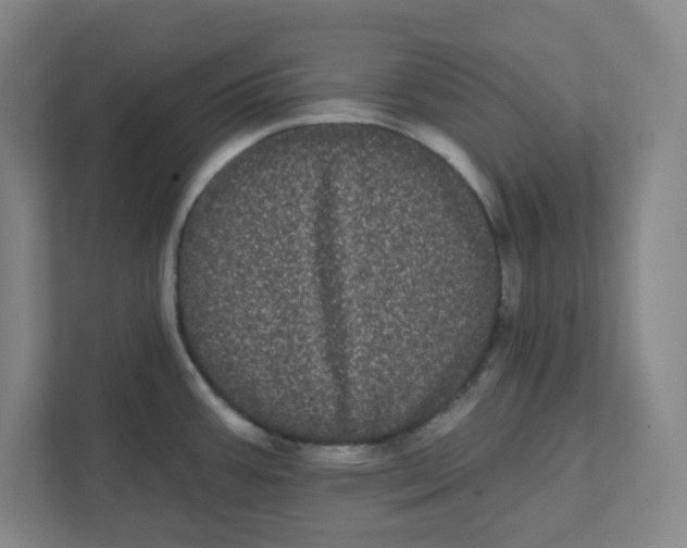 X0000111461387200908101046