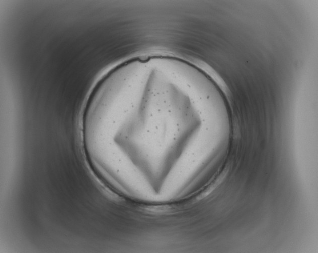 X0000111461388200908101046
