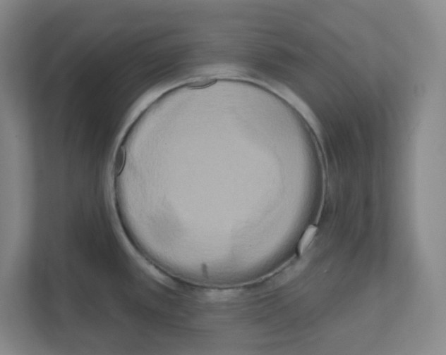 X0000111461389200908101046