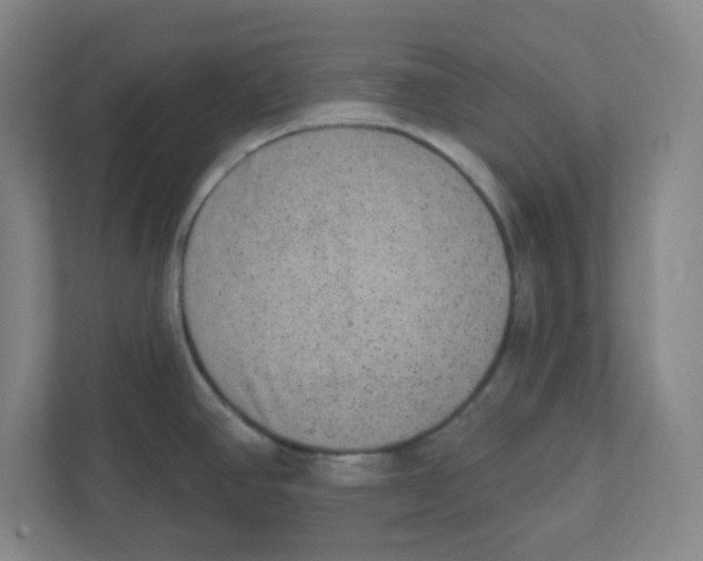 X0000111461390200908101046