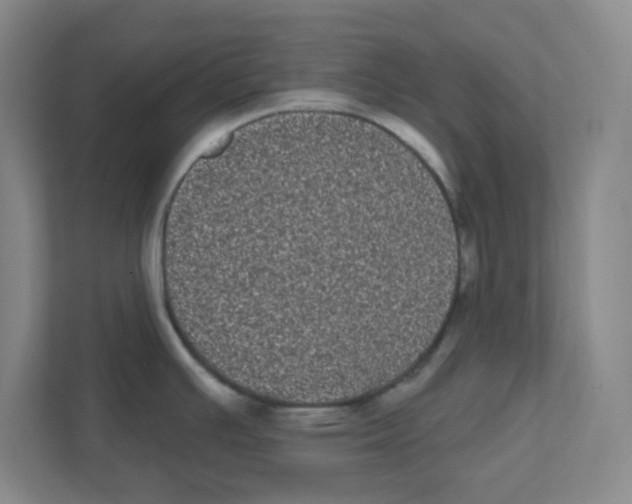 X0000111461391200908101046