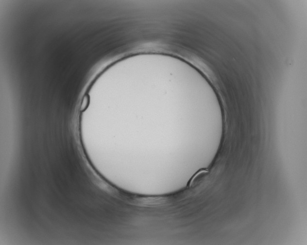 X0000111461392200908101046