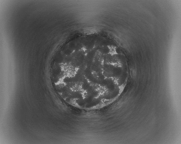 X0000111461393200908101045
