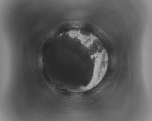X0000111461394200908101045