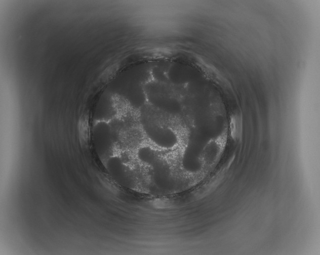 X0000111461395200908101045