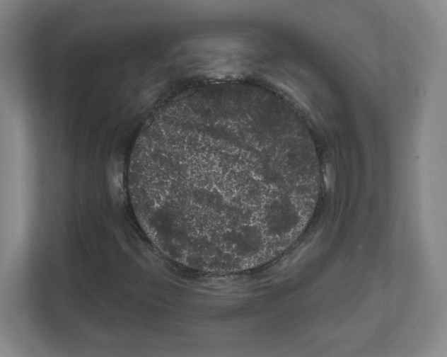 X0000111461396200908101045