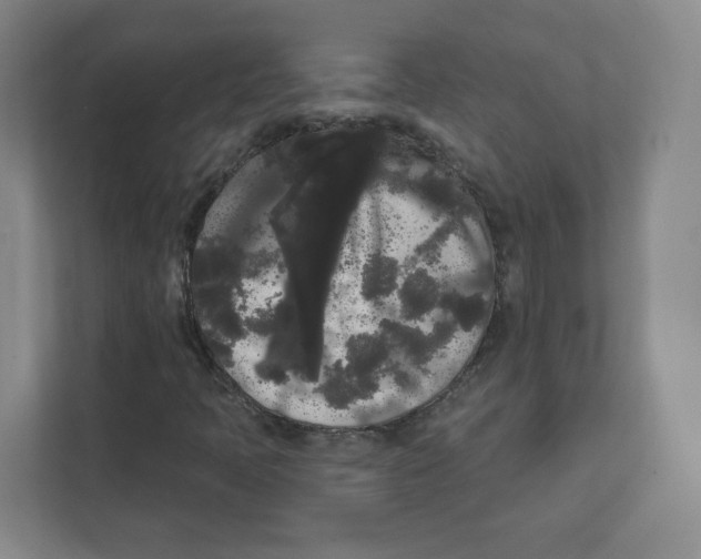 X0000111461397200908101045