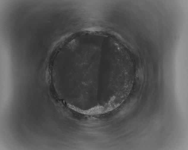 X0000111461398200908101045