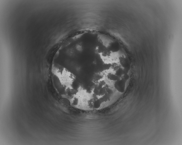 X0000111461399200908101045