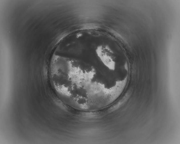 X0000111461401200908101045