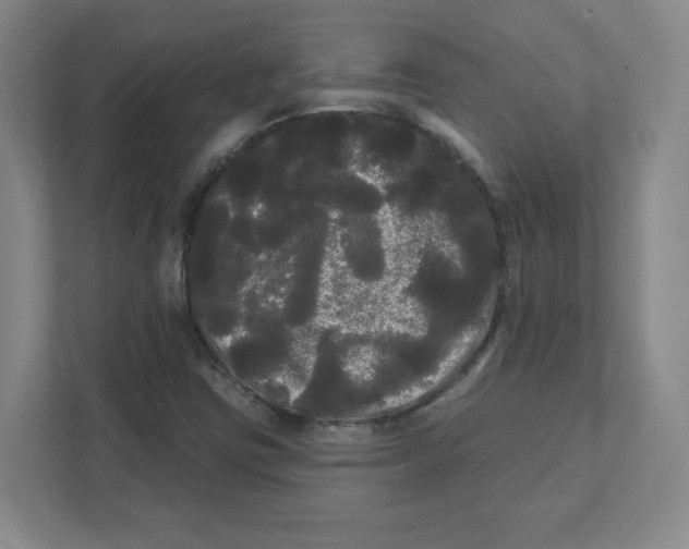 X0000111461403200908101045