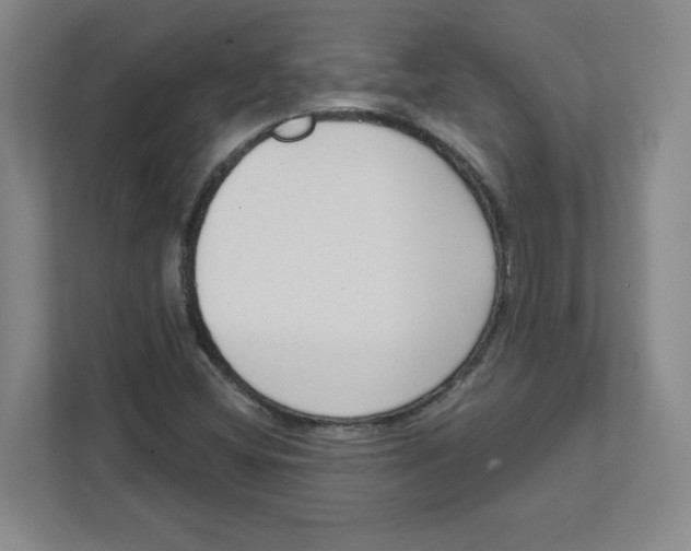 X0000111461404200908101045