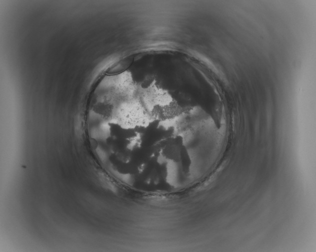 X0000111461405200908101045