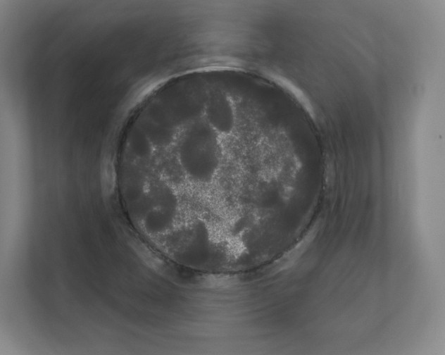 X0000111461407200908101045