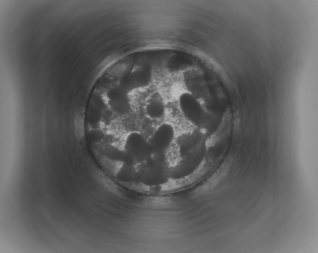 X0000111461409200908101045