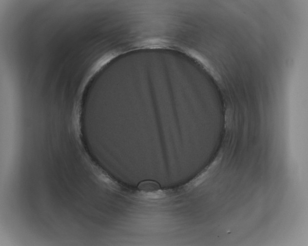 X0000111461410200908101045