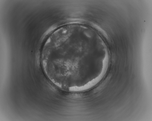 X0000111461411200908101045