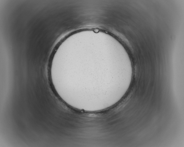 X0000111461412200908101045