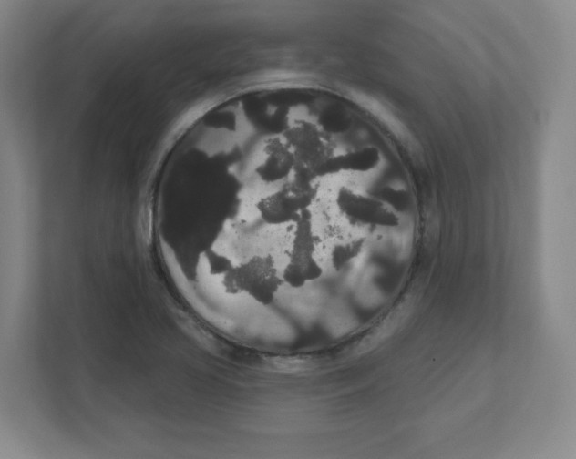X0000111461413200908101045