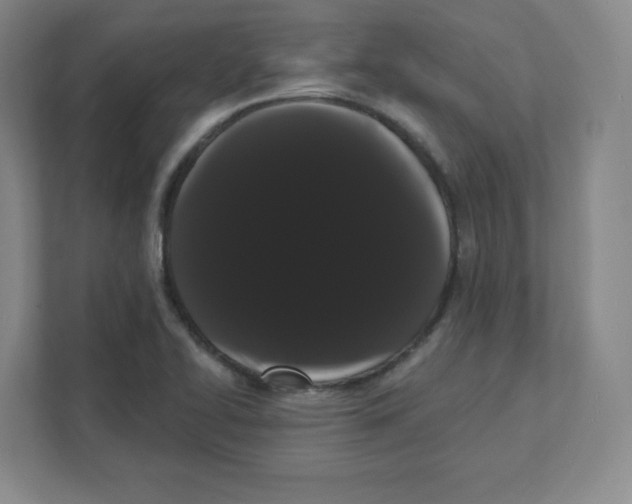 X0000111461414200908101045