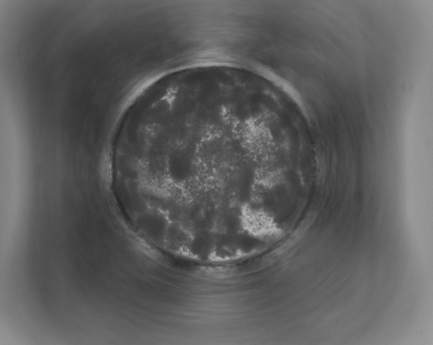 X0000111461415200908101045