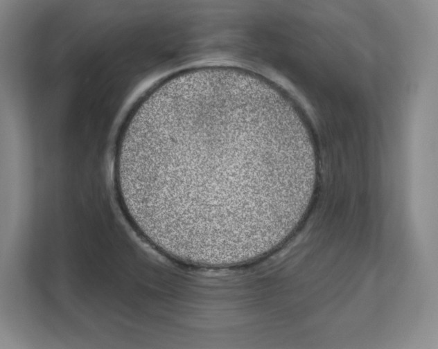 X0000111461416200908101045