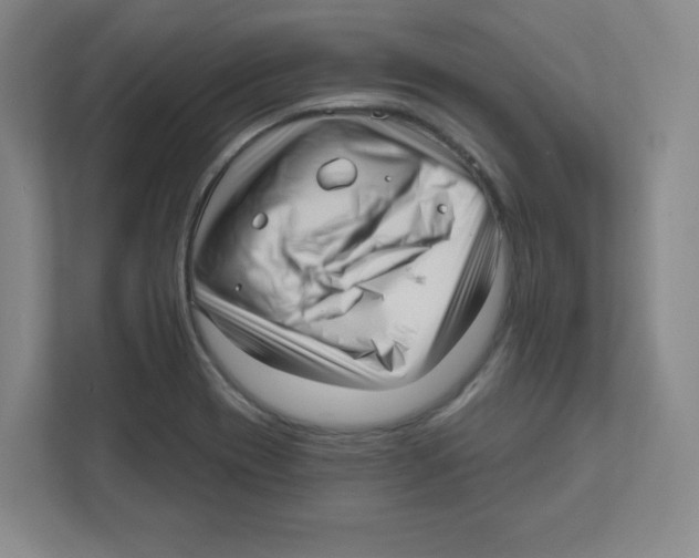 X0000111461417200908101045