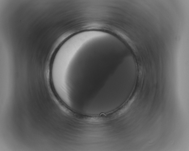 X0000111461418200908101045