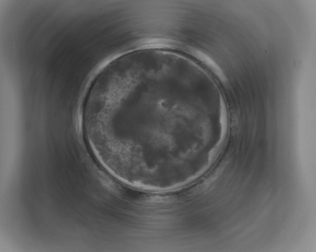 X0000111461419200908101045