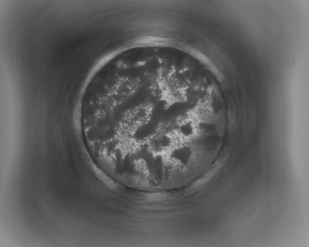 X0000111461421200908101045