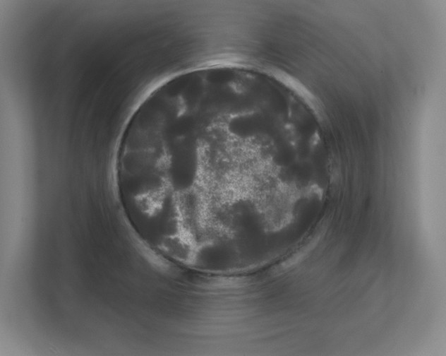 X0000111461423200908101045
