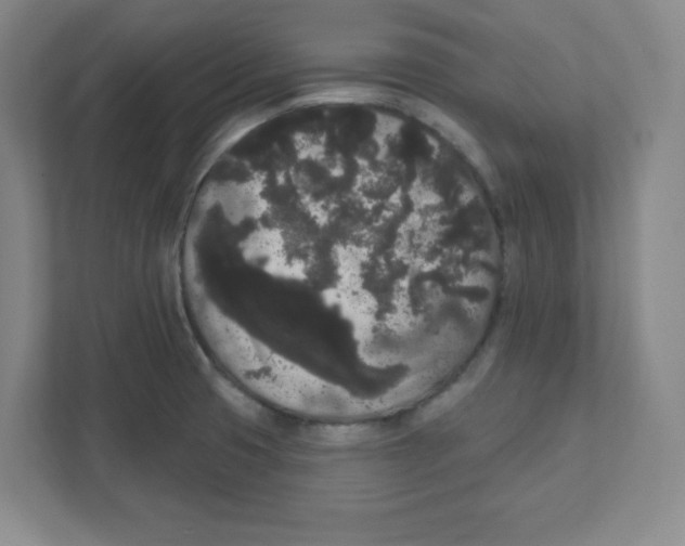 X0000111461425200908101045
