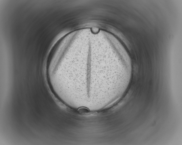X0000111461426200908101045