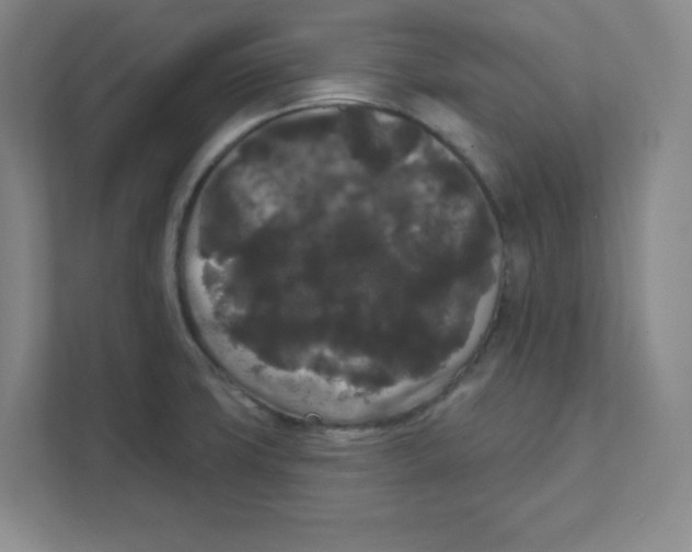 X0000111461427200908101045