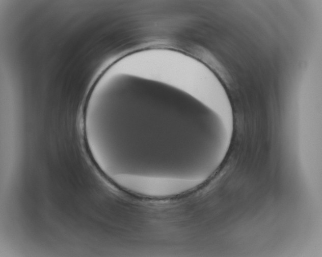 X0000111461428200908101045