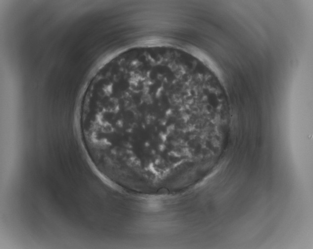 X0000111461429200908101045